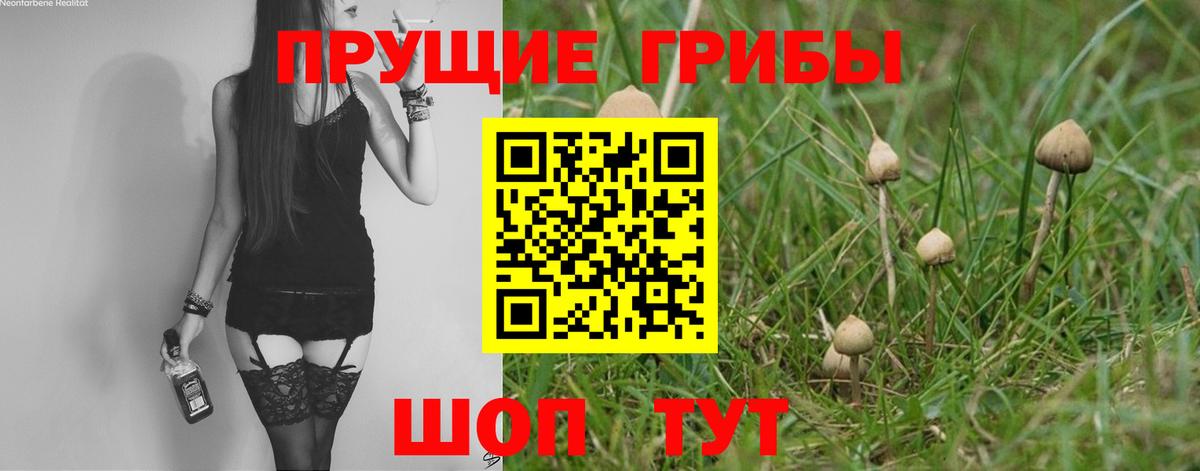 Галлюциногенные грибы Psilocybine cubensis  Вход с VPN  Ноябрьск 